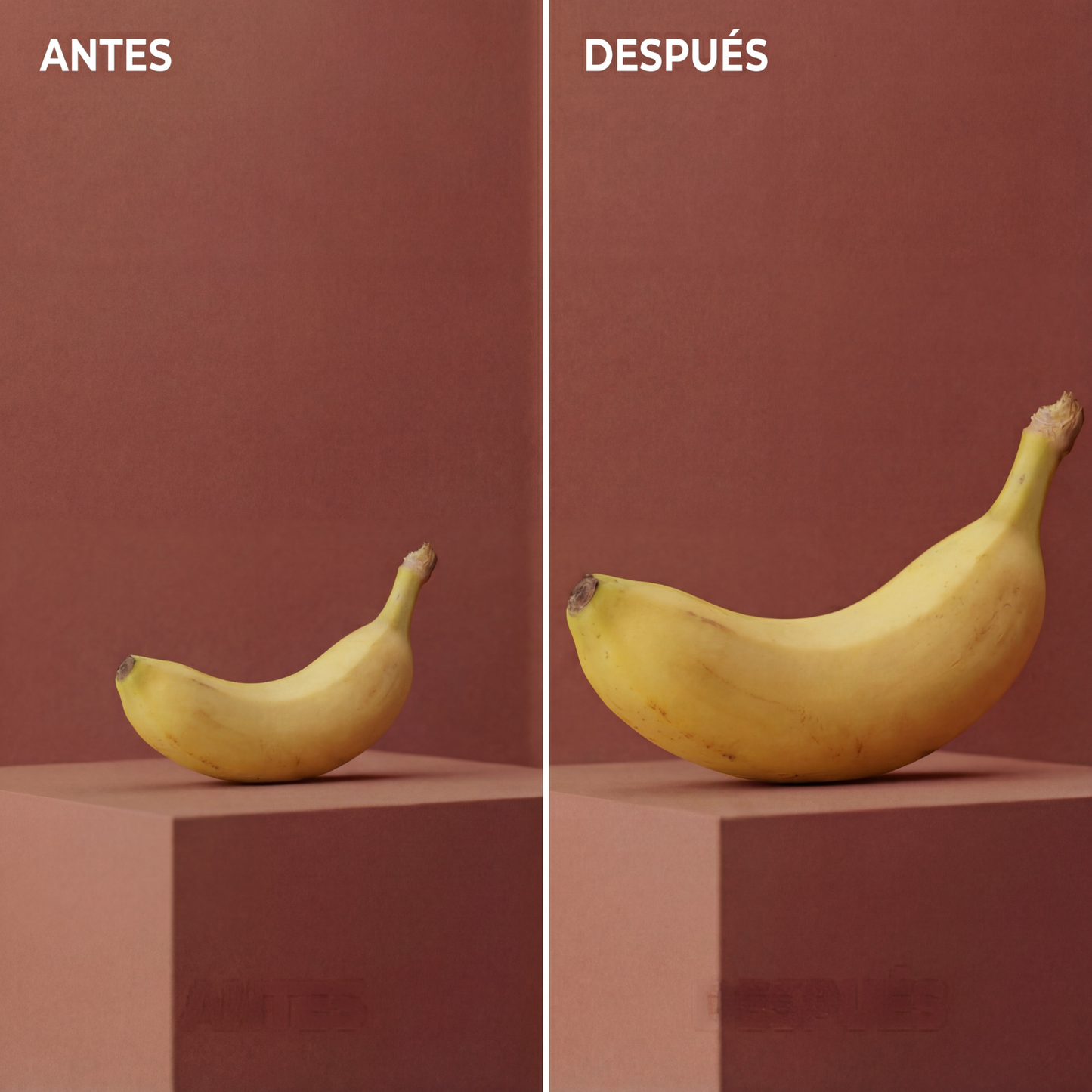 MÁSTRONG™ Gominolas Shilajit